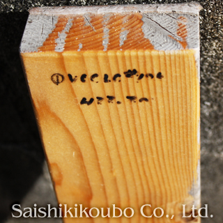 ®˥ʥåϥꥢˤ2ɤǤ⣱ǯФĤۤܤʤʤ꺣ݸϴԤǤޤ󣲡ں९ꥢβϪƥȡóҺ̿˼