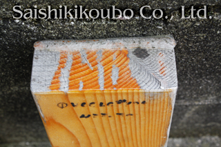 ѥץ꡼եåLC#185ꥢʸ췿ꥳ1ɤꡧ1ǯ6ں९ꥢβϪƥȡóҺ̿˼