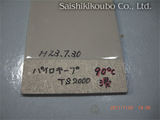 졼Ĥ˥ѥTS20002ɤ90Ǯ˿ҡåѥTS2000Ǯƥȡü¸óҺ̿˼